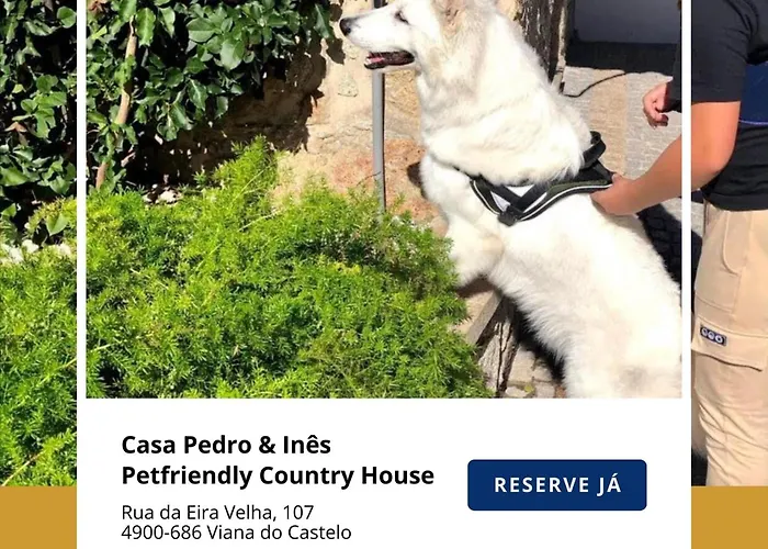 Casa Pedro E Inês *