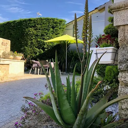 Casa Pedro E Ines Semesterbostad Viana do Castelo
