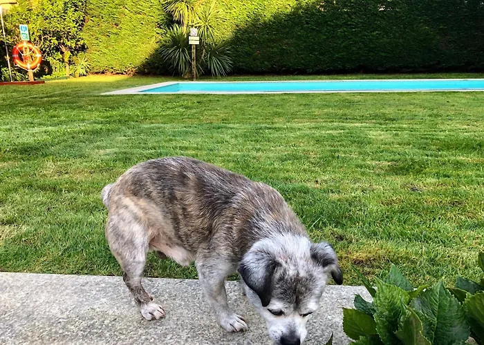 Casa Pedro E Ines Dom wakacyjny *